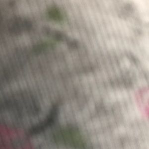 Meet your Posher, Shivani